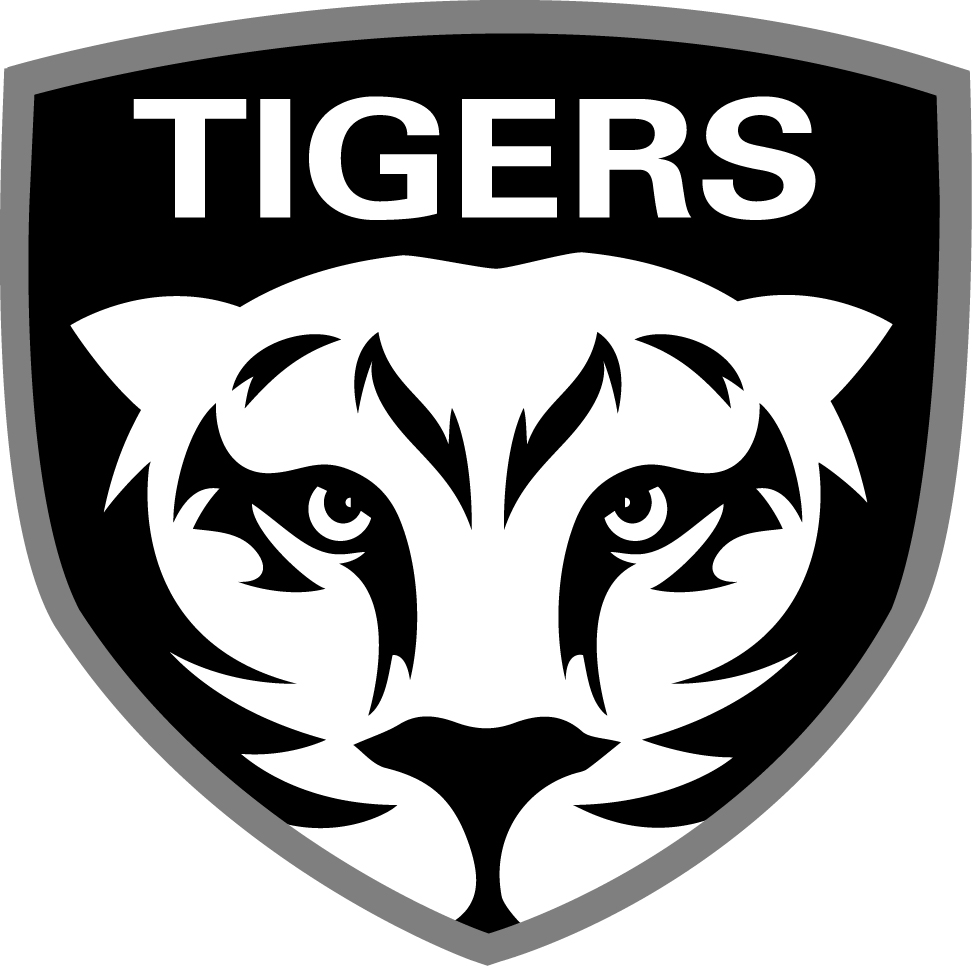 Team Logo